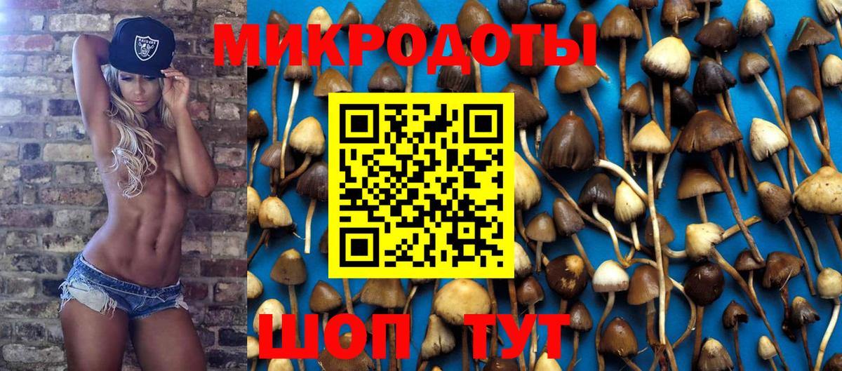 Псилоцибиновые грибы MAGIC MUSHROOMS Лесосибирск