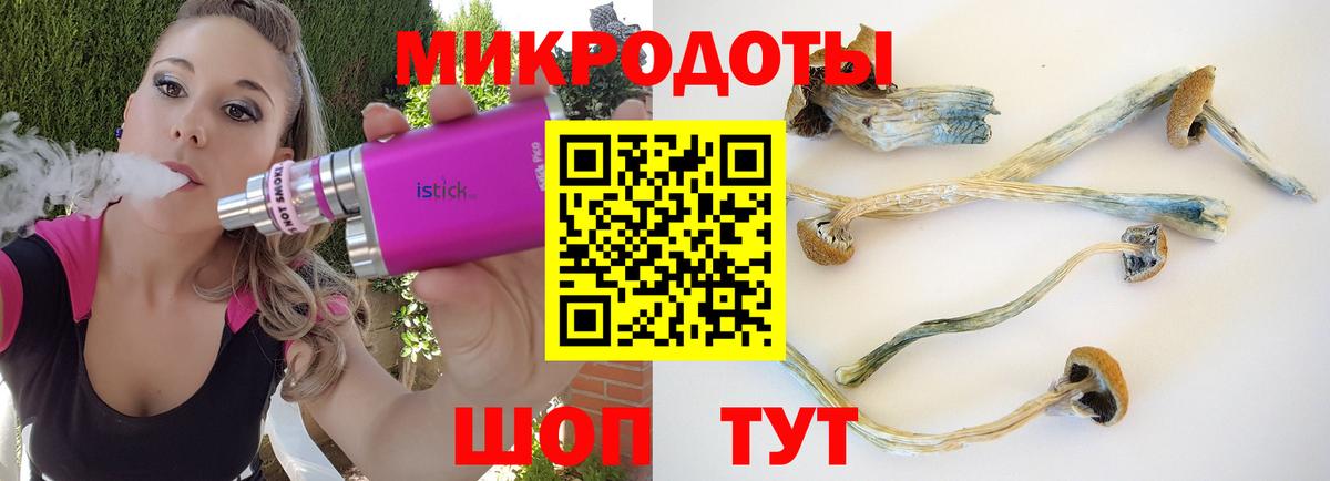Галлюциногенные грибы Лесосибирск
